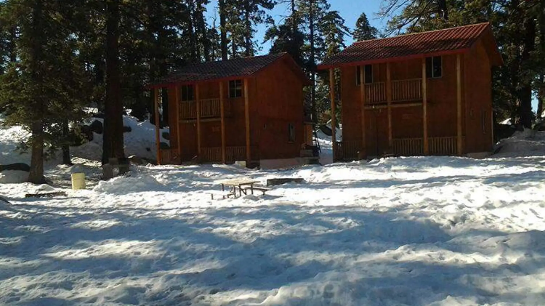 PARQUE NACIONAL SIERRA DE SAN PEDRO MÁRTIR (4)